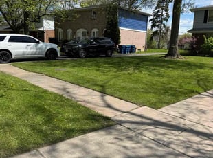 John H.'s grass cutting service result