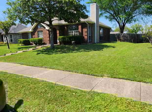 Connor C.'s lawn care service result