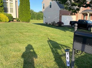 Paul M.'s lawn care services service result