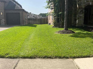 Phillip N.'s lawn maintenance service result