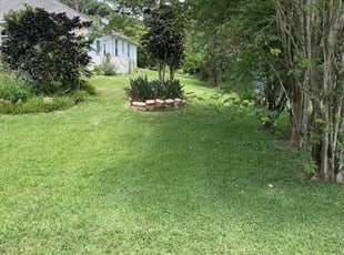 Brian L.'s turf maintenance service result