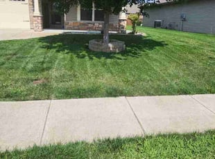 Jeanette L.'s grass cutting service result
