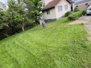 Vida S.'s lawn care services service result