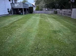 David B.'s turf care service result