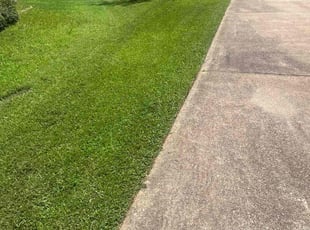 Ellen H.'s lawn maintenance service result