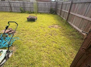 Shane D.'s lawn care service result
