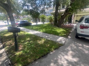 Lisette D.'s lawn care service result
