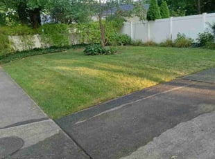 Jason K.'s lawn service service result