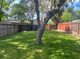 Shawn E.'s lawn care services service result