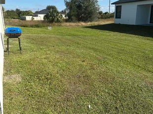 Sonny G.'s lawn maintenance service result