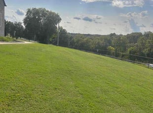 Nick F.'s grass maintenance service result
