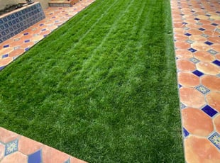 Ronald. N.'s lawn maintenance service result