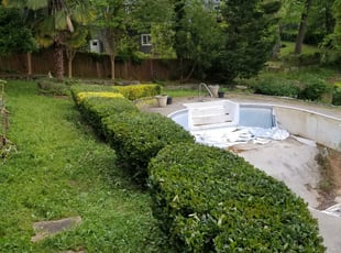 Cindy Z.'s Bush Trimming service result