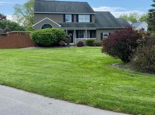 Nathan S.'s lawn care services service result