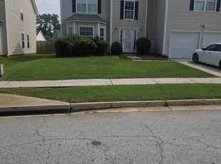Eskedar D.'s lawn care service result