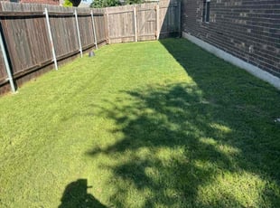 Nikola J.'s lawn care service result