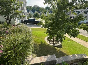 Dineen C.'s lawn care service result