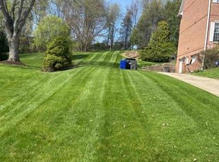Michael M.'s lawn maintenance service result