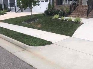 Lee W.'s grass cutting service result