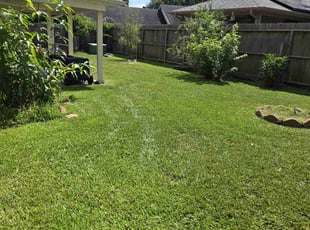 Jason H.'s lawn care services service result