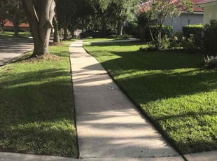 Dennis M.'s grass maintenance service result