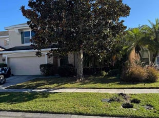 Shannon S.'s Bush Trimming service result