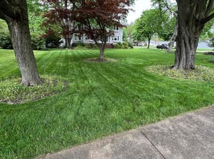 Karen H.'s lawn care service result