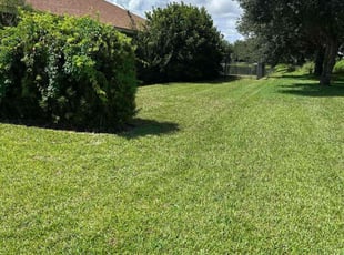 Egberto C.'s lawn care service result