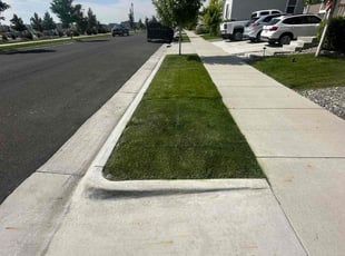 James R.'s yard care service result