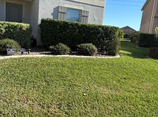 Chris K.'s Bush Trimming service result