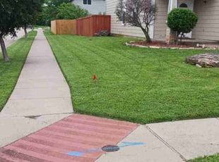 Glenise H.'s lawn maintenance service result