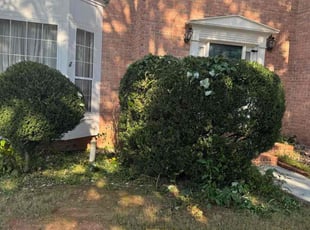 Russ G.'s Bush Trimming service result
