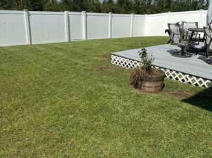 Mike R.'s turf care service result