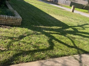 Dave W.'s grass maintenance service result