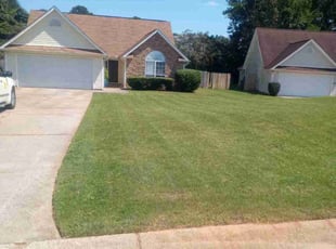 Marion S.'s lawn care services service result