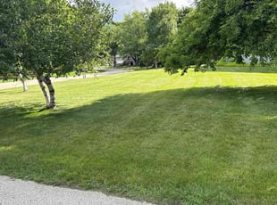 Makram B.'s lawn care services service result