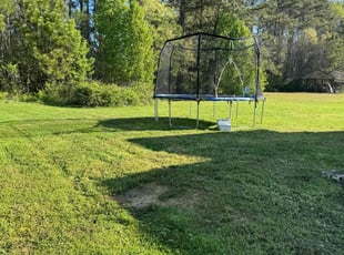 Reggie S.'s turf care service result