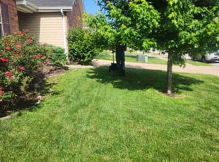Janis R.'s Lawn Seeding service result