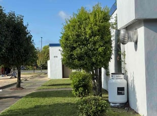 Joseph B.'s lawn maintenance service result