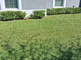 Jill S.'s Bush Trimming service result