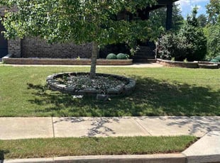 Royce B.'s turf care service result