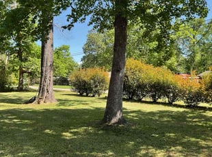Cheryl J.'s lawn care service result