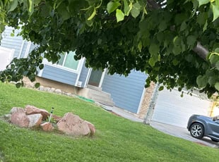 Vivian G.'s lawn care services service result