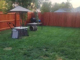 Michael Z.'s lawn care service result