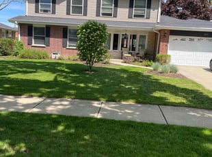 Dennis E.'s grass maintenance service result
