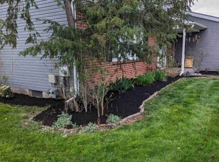 Colleen S.'s Mulching service result