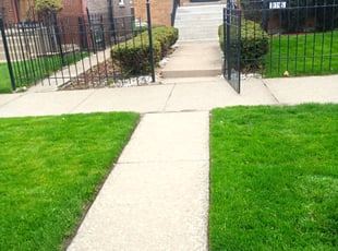 Tamara H.'s lawn maintenance service result