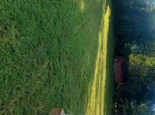 Cheyenne F.'s grass maintenance service result