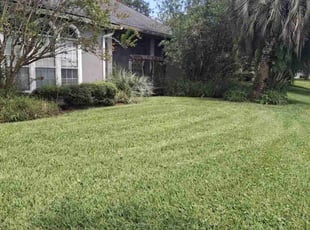 Chanell C.'s grass maintenance service result
