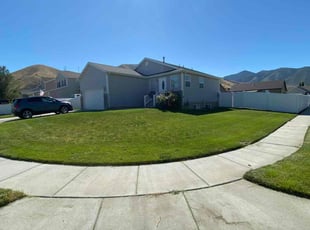 Jeana G.'s lawn care service result